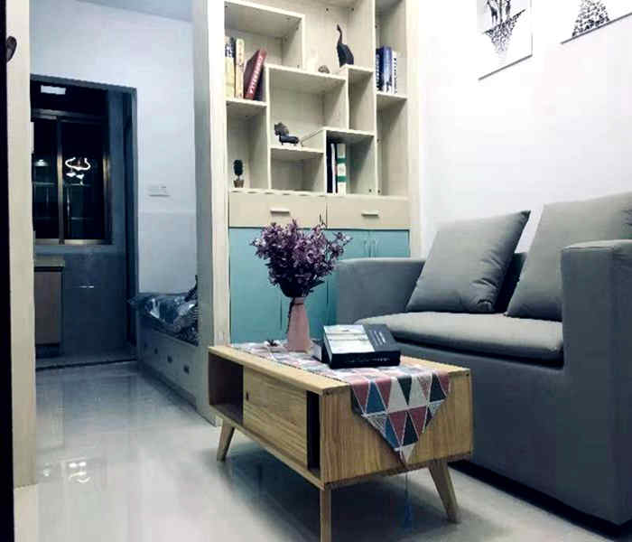 深圳小產權房政策:松崗小時代